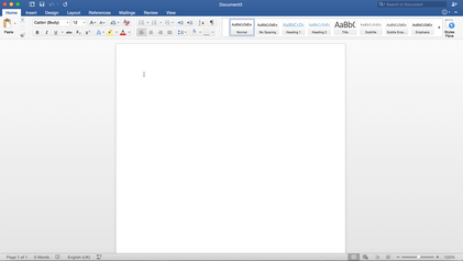 Word Screen shot